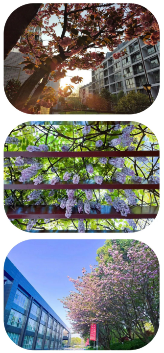 231700743004869134.png image.png