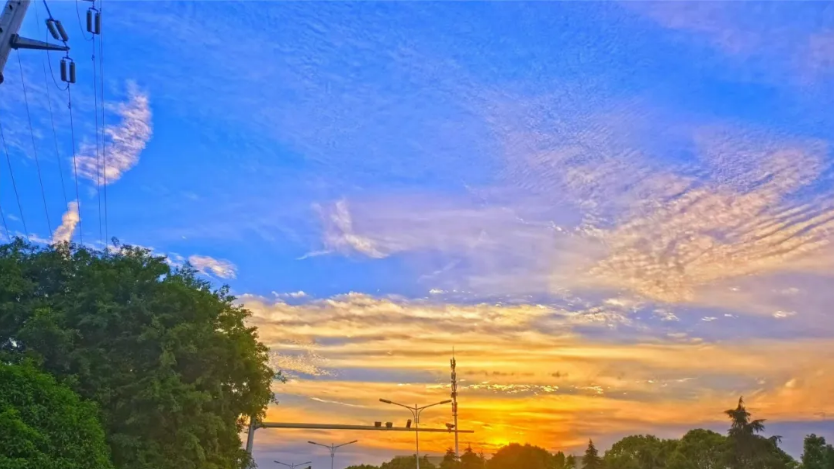 041720051744212931.png image.png